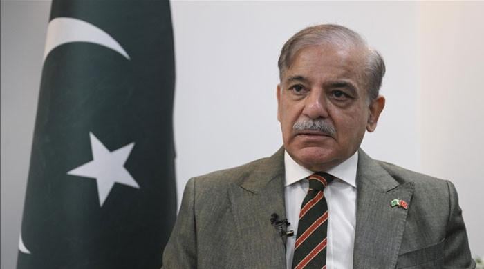بھارت سے جب مذاکرات ہوں گے تو کشمیر، پانی، تجارت اور دہشتگردی کے حوالے سے بات ہوگی: وزیراعظم