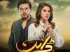 ڈرامہ سیریل ’ڈائن‘ میں اداکاری  کیلئے احسن خان نے کتنے کروڑ  معاوضہ لیا ؟ اداکار کا انکشاف