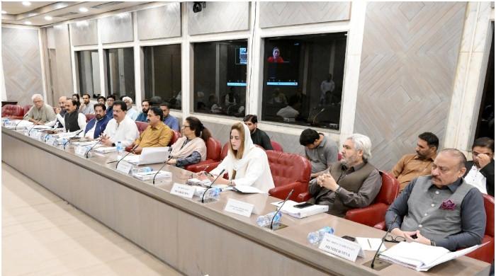 قومی اسمبلی قائمہ کمیٹی میں بجلی چوری پر مقدمات کے اندراج سے متعلق بل کثرت رائے سے مسترد