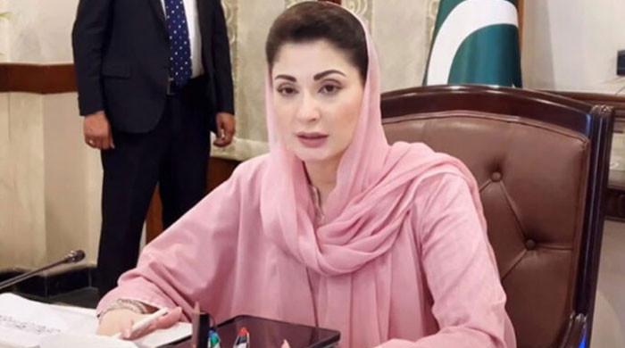 غیر قانونی ہاؤسنگ اسکیموں کو ایمنسٹی دینے پر غور کرنا ہوگا: وزیر اعلیٰ پنجاب