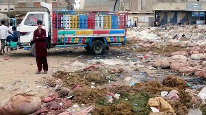 ڈمپرز ایسوسی ایشن کا عیدالاضحیٰ پر کراچی سے آلائشیں نہ اٹھانے کا اعلان