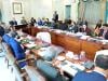 قومی اقتصادی کونسل نے اگلے مالی سال کیلئے 4 ہزار 224 ارب کے ترقیاتی بجٹ کی منظوری دے دی