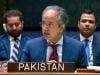 غزہ جنگ بندی کی قرارداد مسترد ہونا عالمی انسانی قوانین کی خلاف ورزی ہے: پاکستان