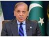 بھارت کی آبی جارحیت سے نمٹنے کیلئے اسحاق ڈار کی سربراہی میں کمیٹی قائم