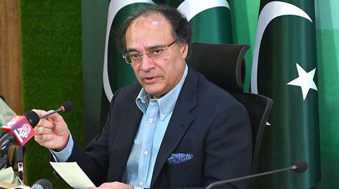 بجٹ میں نچلے اور تنخواہ دار طبقے کو جتنا ریلیف دے سکتے تھے دیا ہے: وزیرخزانہ
