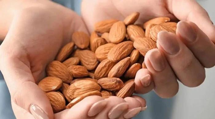 روزانہ کچھ مقدار میں بادام کھانے کا بہترین فائدہ دریافت