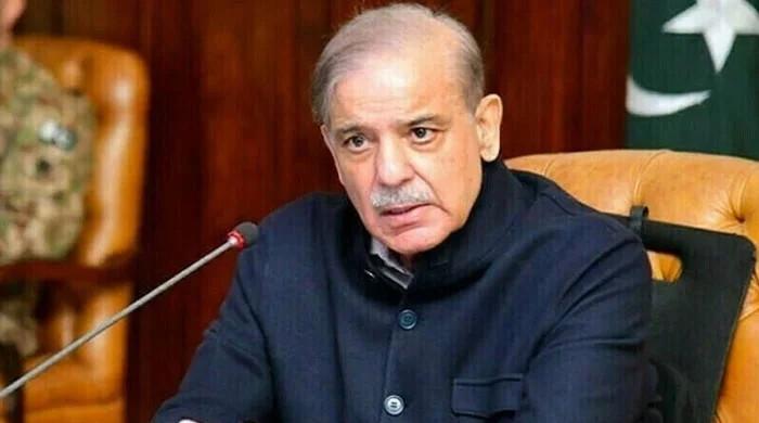 وزیراعظم شہباز شریف کا بھارت میں طیارہ حادثے پر افسوس کا اظہار