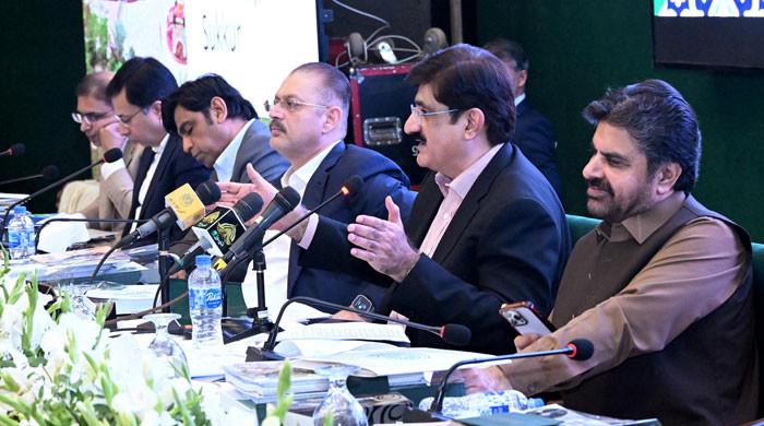 وفاق نے تحفظات دور نہ کیے تو پی پی وفاقی بجٹ کی منظوری کیلئے ووٹ نہیں دے گی، وزیراعلیٰ سندھ