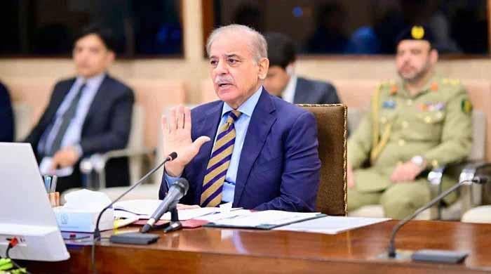 آئی ایم ایف نے زراعت پر ٹیکس نہ لگانے کی بات مان لی ہے: وزیراعظم