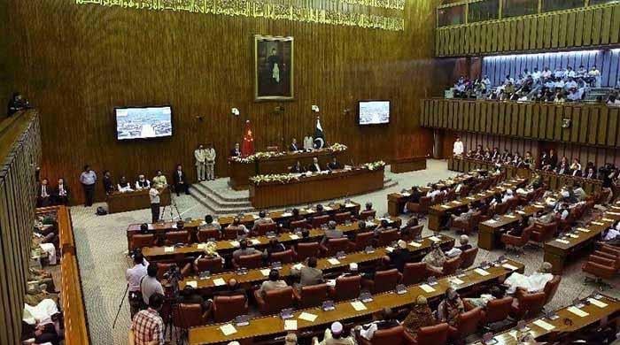 خاتون پر حملہ یا سرعام برہنہ کرنے پر سزائے موت ختم کرنیکی تجویز ، فوجداری قوانین میں ترمیم کا بل پیش