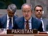  سکیورٹی کونسل ایران اور اسرائیل کے درمیان سیز فائر کیلئے اپنا کردار ادا کرے: پاکستان