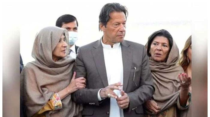 ’میرا خیال ہے مائنس عمران خان ہی ہوگیا ہے‘: علیمہ خان
