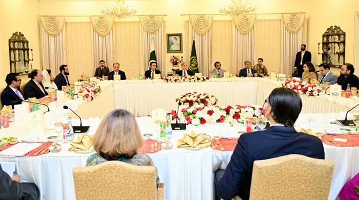 وزیراعظم کا سفارتی وفد کے اعزاز میں عشائیہ، بھارتی پروپیگنڈا بے نقاب کرنے پر خراج تحسین پیش کیا