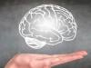 ایسی آسان عادات جو دماغ کو ہمیشہ جوان رکھنے میں مدد فراہم کرتی ہیں