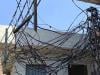 کراچی کے علاقے منگھوپیر میں کرنٹ لگنے سے 2 گدھے مرگئے