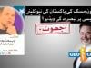 فیکٹ چیک: کیا ایلون مسک نے پاکستان کی نو - فرسٹ یوز  پالیسی کو مسترد کرنے پر تبصرہ کیا؟