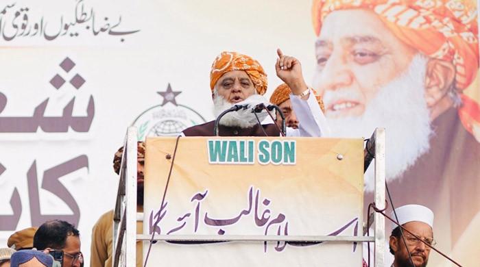 ملک امریکا کی رضامندی سے چلاتے ہیں تو پھر جمہوریت کی بات کیوں کرتے ہیں؟ فضل الرحمان