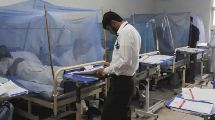  سندھ میں رواں سال ڈینگی سے پہلی وفات رپورٹ