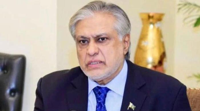پاکستان نے آج اقوام متحدہ کی سلامتی کونسل کی صدارت سنبھال لی:  اسحاق ڈار