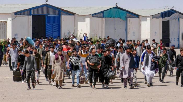 ایران سے افغان باشندوں کی ملک بدری میں تیزی، جون میں 2 لاکھ سے زائد پناہ گزین ملک بدر کیے گئے