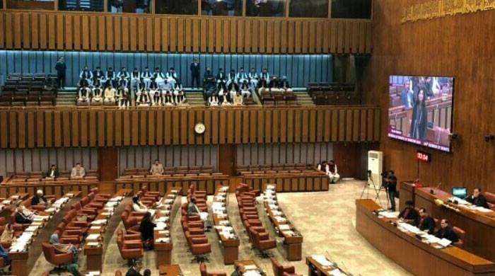 تولیدی صحت کا موادنصاب میں شامل کرنےکے معاملے پر سینیٹ قائمہ کمیٹی میں اختلاف ہوگیا