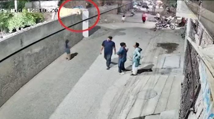 لاہور: شیر کے حملے میں زخمی خاتون اور بچوں کی حالت کیسی ہے؟ ڈاکٹر نے تفصیل بتادی