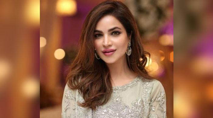 ایسے شواہد نہیں ملے کہ حمیرا اصغر کو قتل کیا گیا ہو: ڈی آئی جی ساؤتھ