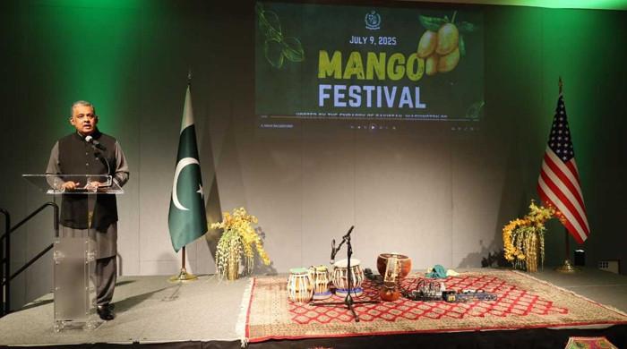 پھلوں کا بادشاہ امریکا میں جلوہ گر