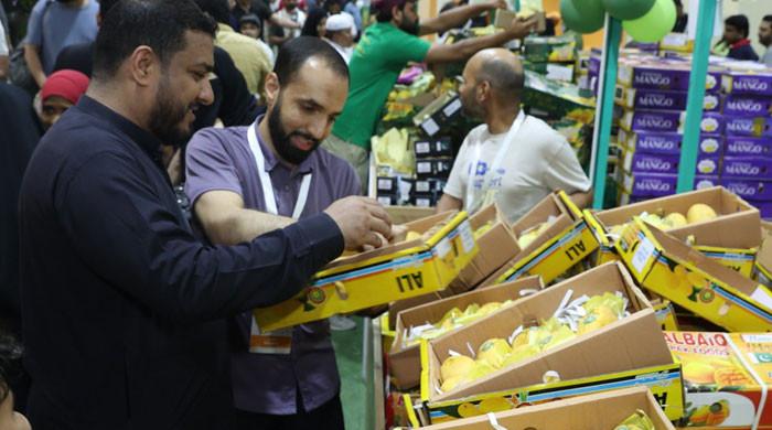دوحا میں جاری پاکستانی آموں کی نمائش میں ہزاروں افراد کی شرکت، اب تک 600 من آم فروخت