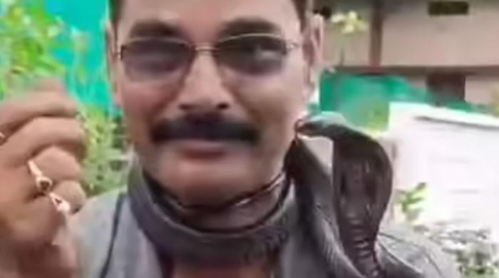 سانپ کو ریسکیو کرکے گلے میں لٹکانے والا شہری ڈسنے سے ہلاک