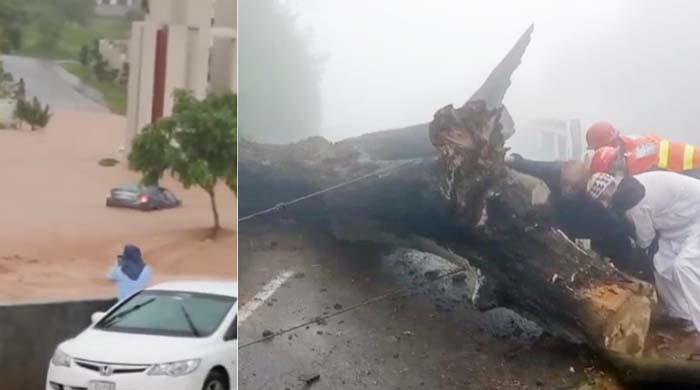 مری، پنڈی اور اسلام آباد میں شدید بارشوں سے درخت گرپڑے، پانی گھروں میں داخل