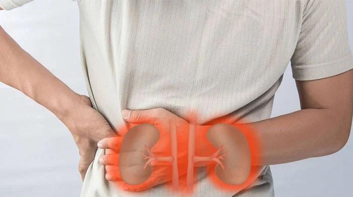 بیشتر افراد کی ایک عام عادت جو گردوں کے تکلیف دہ امراض کا شکار بنا سکتی ہے