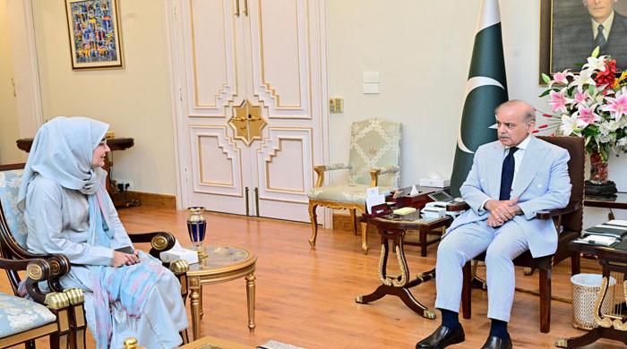 وزیراعظم کی عافیہ صدیقی کے معاملے پر ہرممکن قانونی و سفارتی مدد کی یقین دہانی