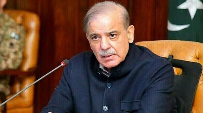 پاکستان فلسطینیوں پر انسانیت سوز صیہونی مظالم کیخلاف آواز اٹھاتا رہے گا: وزیراعظم