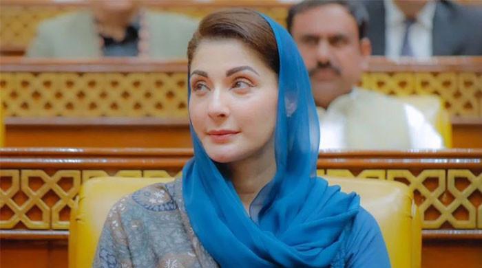 وزیراعلیٰ پنجاب کا بارش متاثرین کیلئے فی خاندان 10 لاکھ روپے امداد کا اعلان