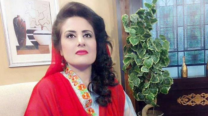 دیامرسیلاب میں نجی ٹی وی کی خاتون اینکر فیملی سمیت لاپتہ، تلاش جاری