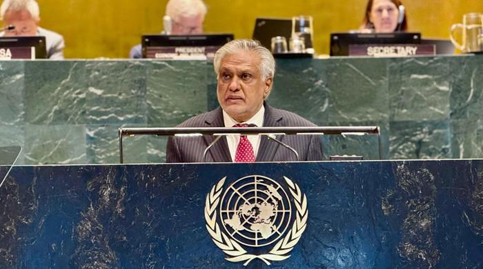 دو ریاستی حل سے متعلق کانفرنس: پاکستان کا فلسطین کو یو این کی مکمل رکنیت دینے کا مطالبہ