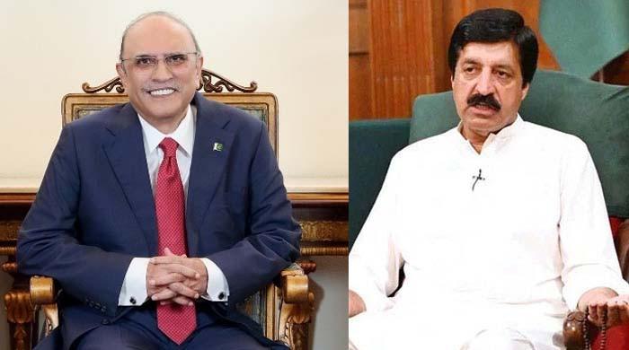  آصف زرداری ایوان صدر میں نہ بیٹھے ہوتے تو یہ سسٹم 6 ماہ نہیں چل سکتا تھا: گورنر پنجاب