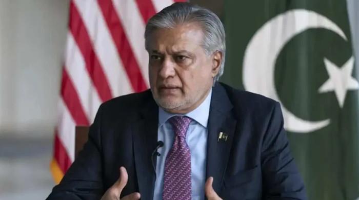 دورہ امریکا ہرلحاظ سے کامیاب رہا، یو این میں فلسطین کیساتھ مسئلہ کشمیر اٹھایا: اسحاق ڈار