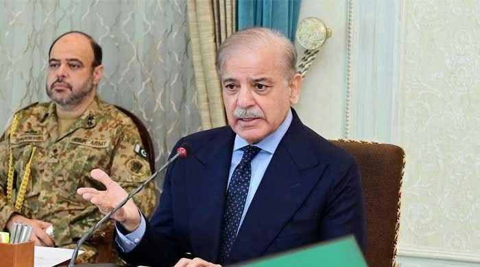 چینی معاہدےکی خلاف ورزی کرکے زائد قیمتیں وصول کرنیوالوں کیخلاف سخت کارروائی کی جائے: وزیراعظم