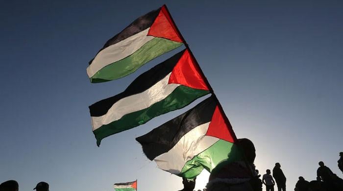 کینیڈا، برطانیہ اور فرانس کے بعد ایک اور یورپی ملک کا فلسطین کو تسلیم کرنے کا اعلان