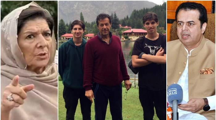 اگر عمران خان کے بچوں کو ویزا درکار ہے تو اسکا مطلب وہ پاکستانی شہری نہیں: طلال کا علیمہ کے بیان پر ردعمل