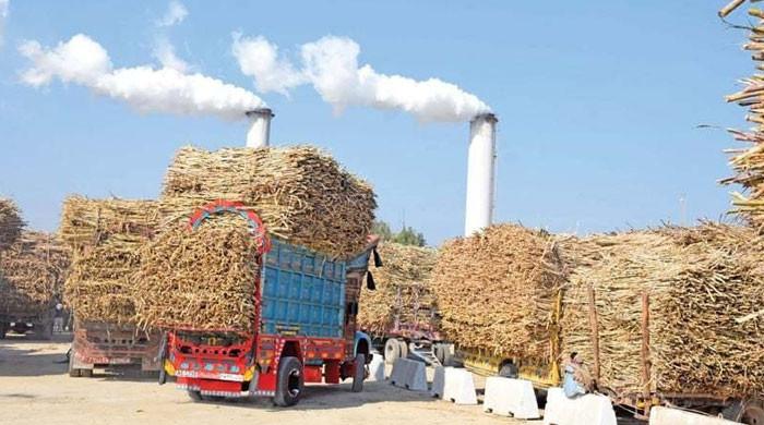 بجلی بنانےکیلئے استعمال ہونیوالے شوگرملز کے گنے کے پھوک کی قیمت مقامی کوئلےکے برابر ہوگئی