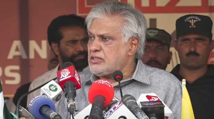 بھارت کی مقبوضہ کشمیر کو دیگر ریاستوں کی طرح بنانیکی کوشش قبول نہیں کرینگے: اسحاق ڈار