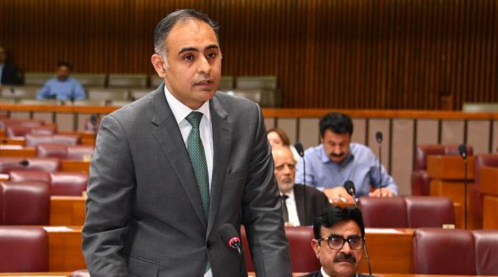 امریکا سے معاہدےکے بعد پاکستان کو جنوبی ایشیا میں سب سےکم ٹیرف ملا، وزیرمملکت خزانہ 