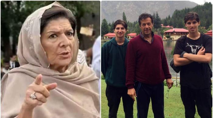 قاسم اور سلیمان کا نائیکوپ گم ہوچکا، برٹش پاسپورٹ پر دونوں نے ویزا اپلائی کردیا ہے: علیمہ خان
