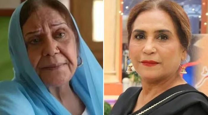 اداکارہ عائشہ خان کی گھر میں اکیلے موت، پروین اکبر نے اولاد کی تربیت کا ذمہ دار والدین کو ٹھہرا دیا