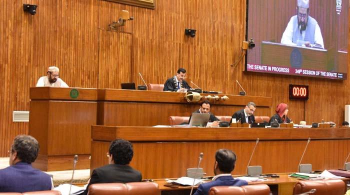 سینیٹ: حکومتی اراکین کو ایوارڈ دینے اور اشتہار پر قائداعظم کی تصویر نہ ہونے پر اپوزیشن کا احتجاج