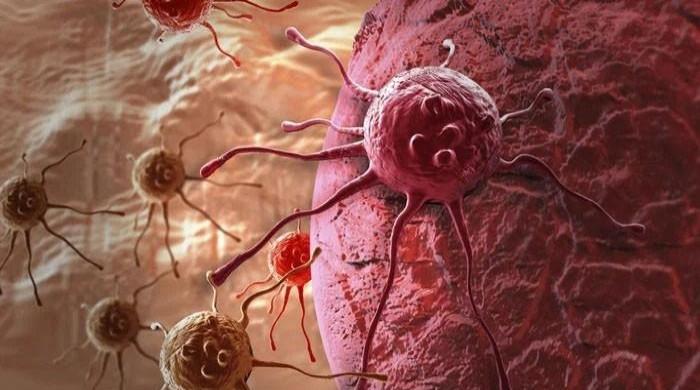 کینسر سمیت متعدد دائمی امراض سے بچانے میں مددگار بہترین غذا