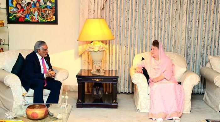 اسحاق ڈارکی خالدہ ضیا سے ملاقات، باہمی تعلقات، سیاسی و اقتصادی  تعاون  اور خطےکی صورتحال پرگفتگو 